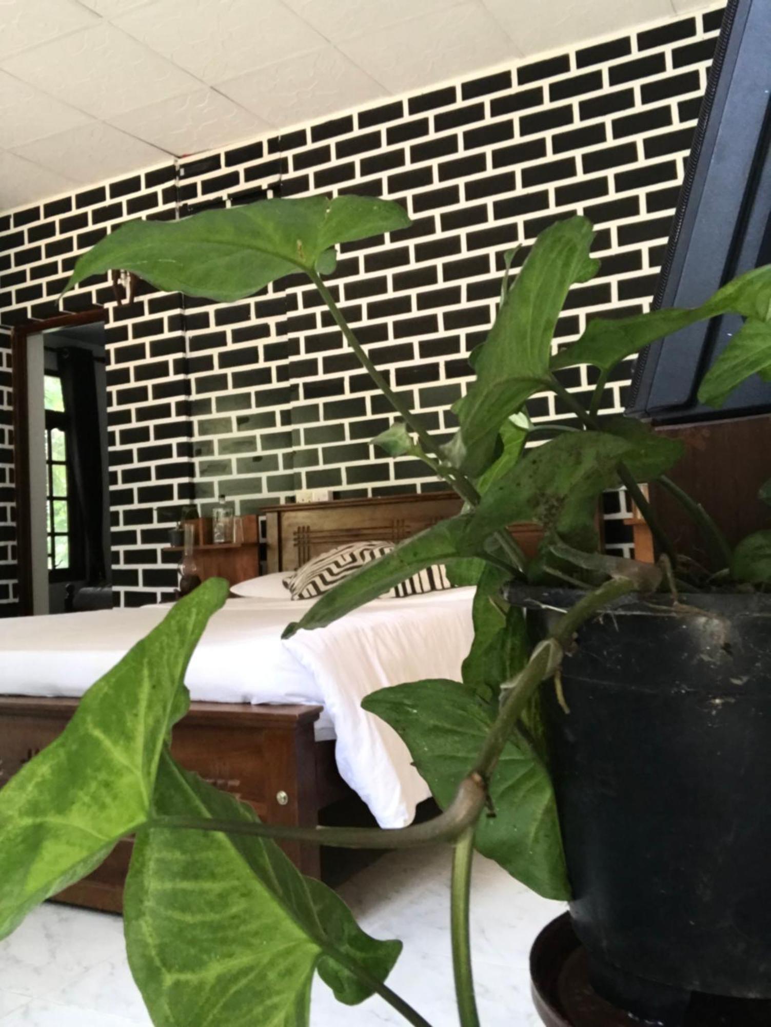Ella Rawana Resort מראה חיצוני תמונה